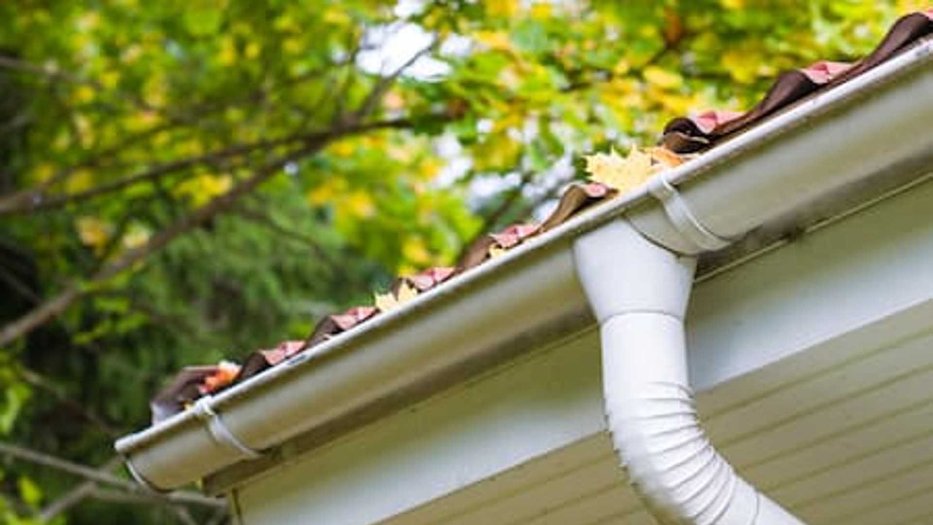 Gutter Cleaning Banner