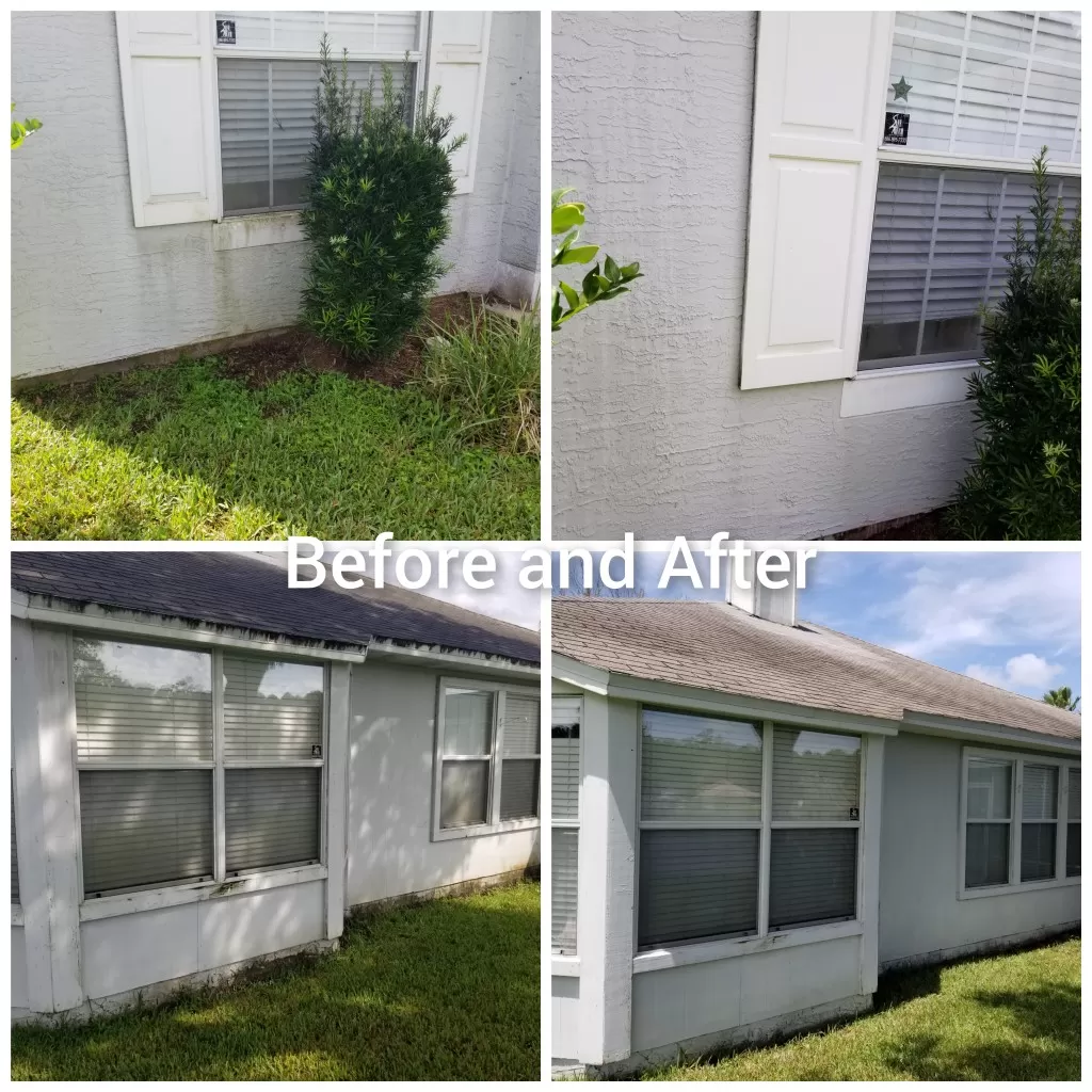 House Washing in St. Augustine, FL