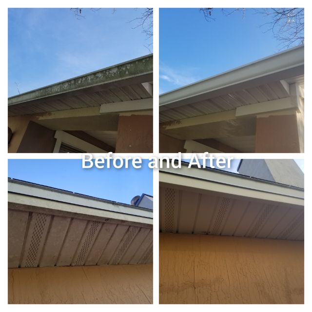 Old Mold Can Be a Problem in Jacksonville, FL